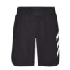 ADIDAS TERREX PARLEY AGRAVIC ALL AROUND SHORTS Herren - Trainingshose
