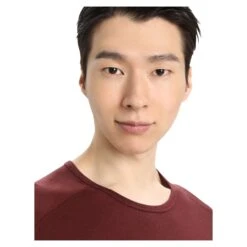 Icebreaker 200 OASIS LS CREWE LAST RUN Herren - Funktionsshirt -HerrenFit Verkäufe 5637951218 h 200 oasis ls crewe last run icebreaker 24